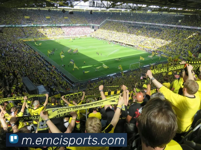 球赛投注平台生态图